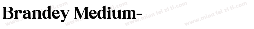 Brandey Medium字体转换